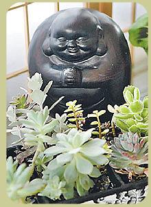 Buddha in a Feng Shui environment